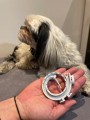 FRANCODEX PL Obroża na kleszcze PREVENDOG 60 cm dla psów do 25 kg - 1 szt