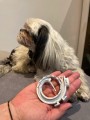 FRANCODEX PL Obroża na kleszcze PREVENDOG 60 cm dla psów do 25 kg - 1 szt