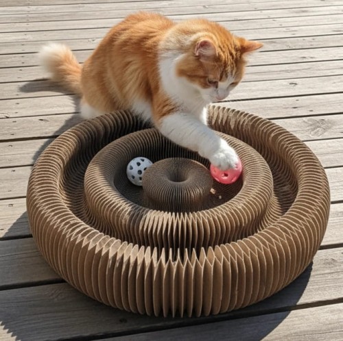 ZOLUX Drapka dla kota składana CHATOUILLE podwójna z piłkami i kocimiętką