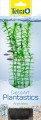 TETRA DecoArt Plant L Anacharis, sztuczna roślina akwariowa 30 cm