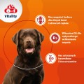 8IN1 Vitality Wapń dla psów kości i zęby 155tb