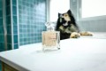 FRANCODEX Perfumy dla psa, bez alkoholu Charmant drzewne 50 ml