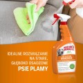 NATURES MIRACLE Płyn do usuwania starych plam pies SET-IN OXY 709ml