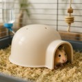Zolux Domek dla gryzonia Igloo plastikowe małe kol. beż