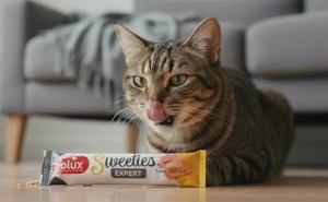 ZOLUX Przysmak kremowy dla kota SWEETIES z tuńczykiem i łososiem 14 g