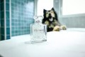 FRANCODEX Perfumy dla psa, bez alkoholu Mistinguette kwiatowe 50 ml