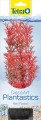 TETRA DecoArt Plant M Foxtail Red, sztuczna roślina akwariowa 23 cm