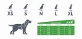 ZOLUX Szelki dla psa ze smyczą automatyczną Easyride XL niebieskie