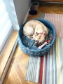 ZOLUX Legowisko dla psa prostokątne ONE SIRIUS 53cm