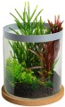 Zolux Akwarium Cylinder LIFE 12 l kol. szary