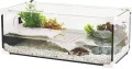 ZOLUX Aquaterrarium dla żółwi wodnych KARAPAS AQUA PRO 60x30x20 cm białe