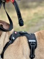 ZOLUX Zestaw szelki + smycz dla psa CLIP and GO XL czarny