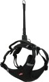 ZOLUX Zestaw szelki + smycz dla psa CLIP and GO XL czarny