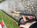 ZOLUX Zestaw szelki + smycz dla psa CLIP and GO XL czarny