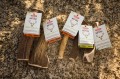 ZOLUX Przysmak naturalny dla psa Poroże jelenia PUPPY oszlifowane krawędzie