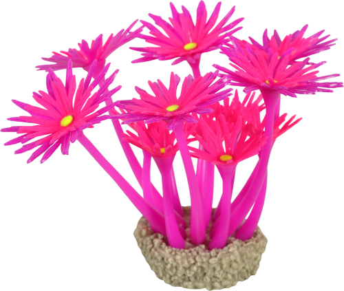 ZOLUX Ozdoba do akwarium FLOWERS 1 fioletowo różowa