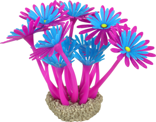 ZOLUX Ozdoba do akwarium FLOWERS 3 fioletowo niebieska