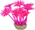 ZOLUX Ozdoba do akwarium FLOWERS 1 fioletowo różowa