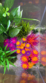 ZOLUX Ozdoba do akwarium FLOWERS 3 różowo pomarańczowa