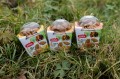 ZOLUX Ciasteczka dla psów CRUNCHY DOG z indykiem 75g