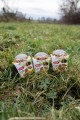 ZOLUX Ciasteczka dla psów CRUNCHY DOG z indykiem 75g