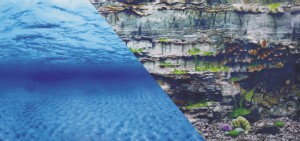 ZOLUX Tło do akwarium dwustronne woda/podwodna skała 60 x 120 cm