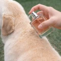 FRANCODEX Perfumy dla psa, bez alkoholu Charmant drzewne 50 ml