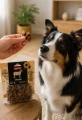 ZOLUX Przysmak naturalny dla psa Kostki jagnięce 100 g