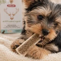 ZOLUX Przysmak naturalny dla psa Poroże jelenia przecięte wzdłuż EASY XXS