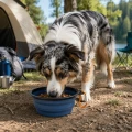 ZOLUX Składana miska dla psa BIVOUAK 1 l niebieska