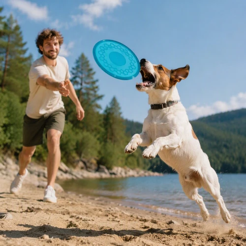 ZOLUX Zabawka dla psa frisbee TPR POP 23 cm kol. turkusowy