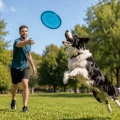 ZOLUX Zabawka dla psa frisbee TPR POP 23 cm kol. turkusowy