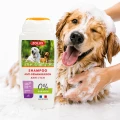 ZOLUX Szampon dla psa przeciwświądowy 250 ml