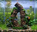 Zolux Ozdoba do akwarium totem 2 KIPOUSS z nasionami 7,7x5,6x13,8 cm