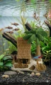 Zolux Ozdoba do akwarium Domek z palmą kokosową miniatura