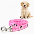 Zolux Smycz dla szczeniąt Puppy MASCOTTE 8 mm/1,20 m kol. różowy
