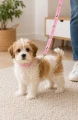 Zolux Smycz dla szczeniąt Puppy MASCOTTE 8 mm/1,20 m kol. różowy