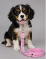 Zolux Smycz dla szczeniąt Puppy MASCOTTE 13 mm/1,20 m kol. różowy