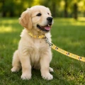 Zolux Smycz dla szczeniąt Puppy MASCOTTE 13 mm/1,20 m kol. żółty