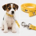 Zolux Smycz dla szczeniąt Puppy MASCOTTE 13 mm/1,20 m kol. żółty