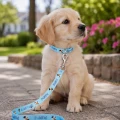 Zolux Smycz dla szczeniąt Puppy MASCOTTE 8 mm/1,20 m kol. niebieski