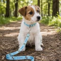 Zolux Smycz dla szczeniąt Puppy MASCOTTE 8 mm/1,20 m kol. niebieski