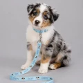 Zolux Smycz dla szczeniąt Puppy MASCOTTE 8 mm/1,20 m kol. niebieski