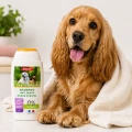 ZOLUX Szampon dla psa neutralizujący brzydki zapach 250 ml