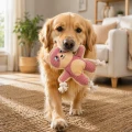 ZOLUX Zabawka dla psa wytrzymała Kot BUDDY różowy 29cm