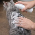 FRANCODEX Pianka myjąca bez spłukiwania dla kotów 150 ml