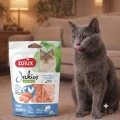 Przysmak dla kota ZOLUX Jerkies kurczak łosoś 50g 3336025822042