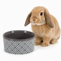 Zolux Miska ceramiczna dla gryzonia NEO 250 ml kol. szary
