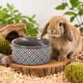 Zolux Miska ceramiczna dla gryzonia NEO 250 ml kol. szary