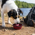 ZOLUX Składana miska dla psa BIVOUAK 450 ml czerwona
